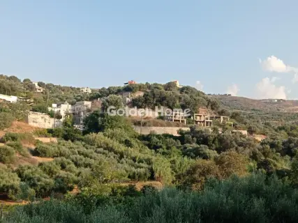 Οικιστικό 2650τ.μ. προς πώληση φωτογραφία 5596984