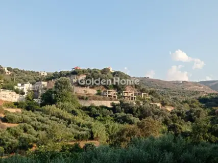 Οικιστικό 2650τ.μ. προς πώληση φωτογραφία 5596985