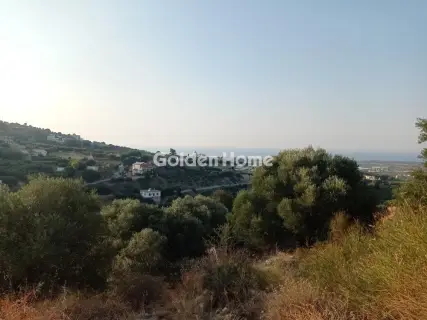 Οικιστικό 2650τ.μ. προς πώληση φωτογραφία 5596982