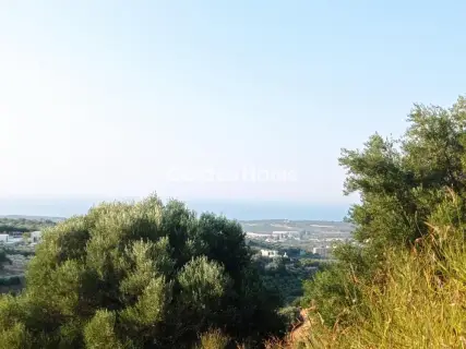 Οικιστικό 2650τ.μ. προς πώληση φωτογραφία 5596981