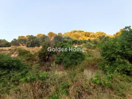 Οικιστικό 2650τ.μ. προς πώληση φωτογραφία 5596987