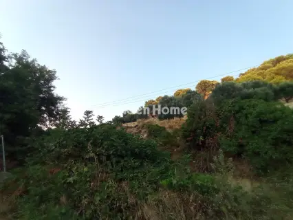 Οικιστικό 2650τ.μ. προς πώληση φωτογραφία 5596989