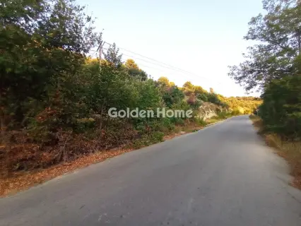 Οικιστικό 2650τ.μ. προς πώληση φωτογραφία 5596992