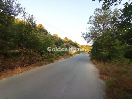 Οικιστικό 2650τ.μ. προς πώληση φωτογραφία 5596994