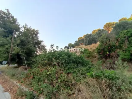 Οικιστικό 2650τ.μ. προς πώληση φωτογραφία 5596995