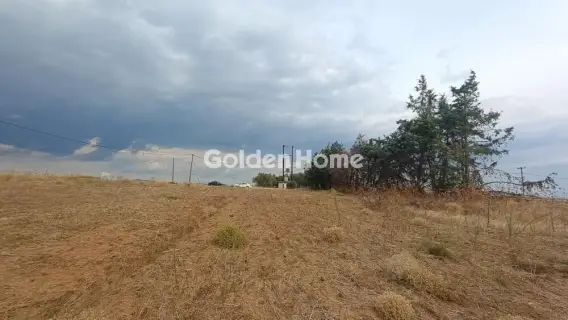 Αγροτεμάχιο 4879τ.μ. προς πώληση φωτογραφία 7