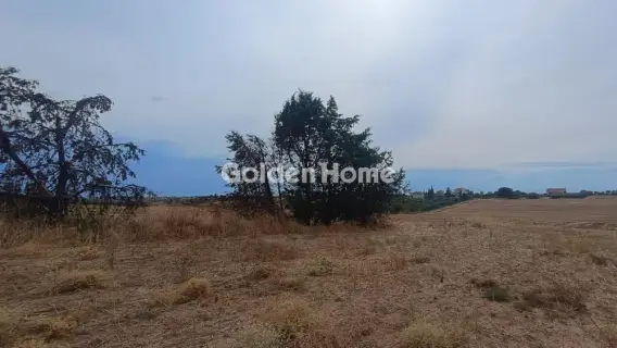 Αγροτεμάχιο 4879τ.μ. προς πώληση φωτογραφία 6