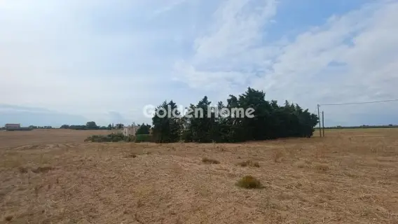 Αγροτεμάχιο 4879τ.μ. προς πώληση φωτογραφία 5