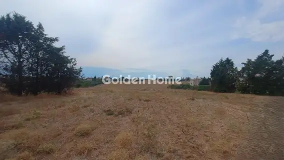 Αγροτεμάχιο 4879τ.μ. προς πώληση φωτογραφία 4