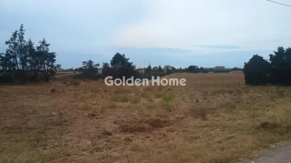 Αγροτεμάχιο 4879τ.μ. προς πώληση φωτογραφία 9
