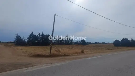 Αγροτεμάχιο 4879τ.μ. προς πώληση φωτογραφία 11
