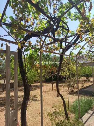 Μονοκατοικία 95τ.μ. προς πώληση φωτογραφία 5597063