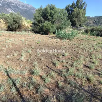 Οικιστικό 395τ.μ. προς πώληση φωτογραφία 7