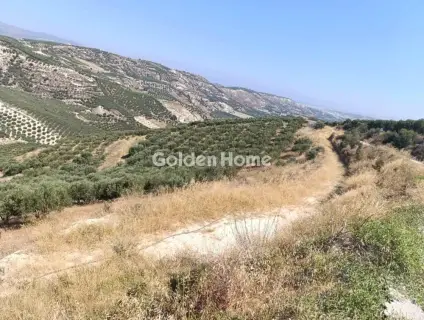Οικιστικό 52672τ.μ. προς πώληση φωτογραφία 1