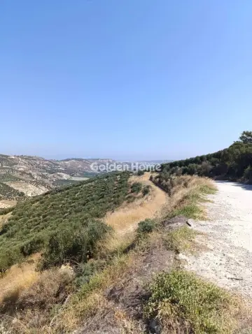 Οικιστικό 52672τ.μ. προς πώληση φωτογραφία 5