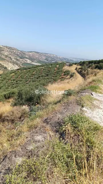 Οικιστικό 52672τ.μ. προς πώληση φωτογραφία 6