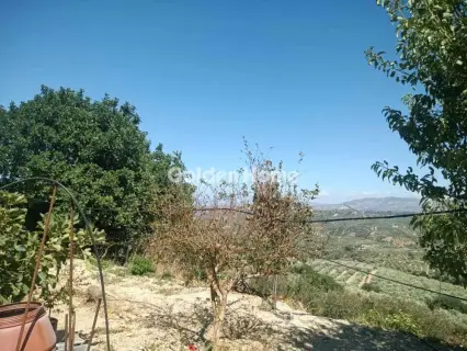 Οικιστικό 4000τ.μ. προς πώληση φωτογραφία 5607994