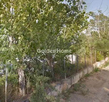 Αγροτεμάχιο 12217τ.μ. προς πώληση φωτογραφία 1