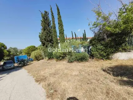 Αγροτεμάχιο 306τ.μ. προς πώληση φωτογραφία 5597562
