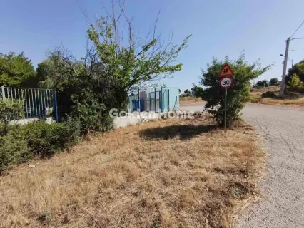 Αγροτεμάχιο 306τ.μ. προς πώληση φωτογραφία 5597564