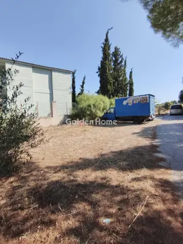 Αγροτεμάχιο 306τ.μ. προς πώληση φωτογραφία 5597569