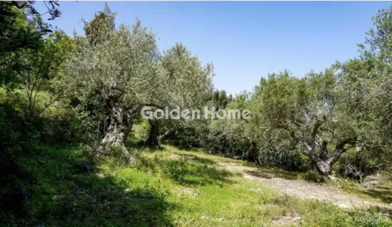 Οικιστικό 7100τ.μ. προς πώληση φωτογραφία 5636661