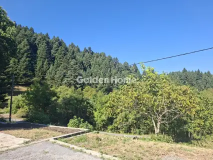 Ξενοδοχείο 675τ.μ. προς πώληση φωτογραφία 5615001