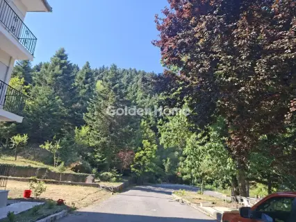 Ξενοδοχείο 675τ.μ. προς πώληση φωτογραφία 5615003