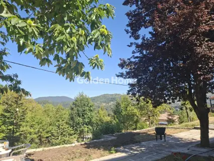 Ξενοδοχείο 675τ.μ. προς πώληση φωτογραφία 5615006