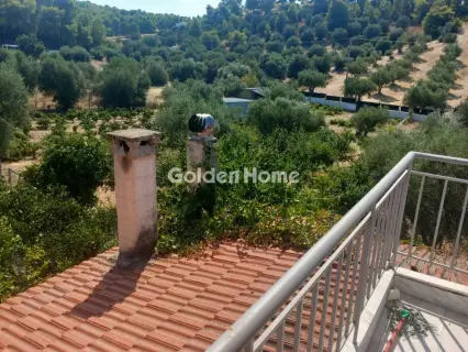 Μονοκατοικία 220τ.μ. προς πώληση φωτογραφία 27