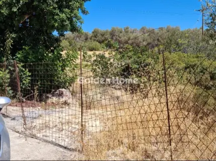 Parcel 1458m<sup>2</sup> for sale photo 2