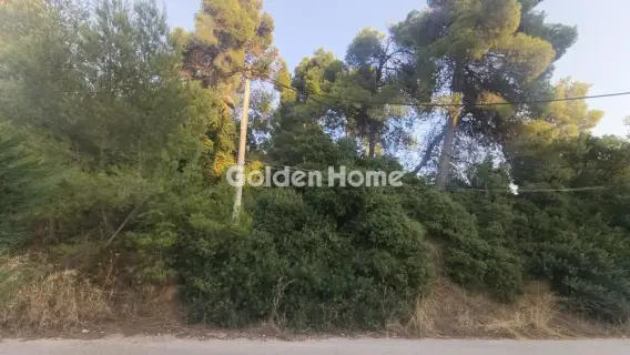 Μονοκατοικία 300τ.μ. προς πώληση φωτογραφία 51