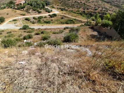 Residential 1400m<sup>2</sup> for sale photo 5600406