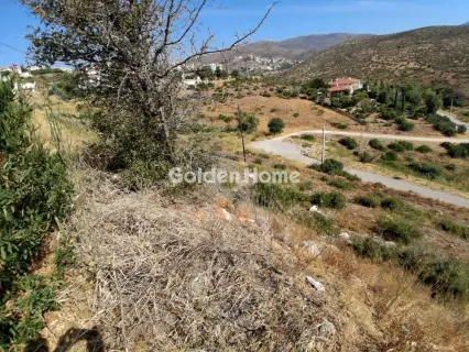 Residential 1400m<sup>2</sup> for sale photo 5600405