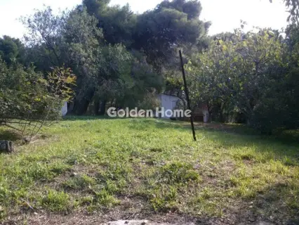 Οικιστικό 1020τ.μ. προς πώληση φωτογραφία 1