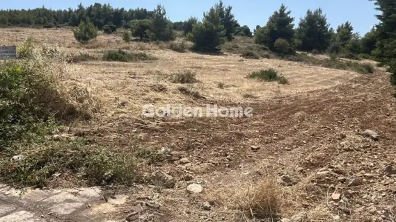 Οικιστικό 2700τ.μ. προς πώληση φωτογραφία 5602672