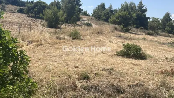 Οικιστικό 2700τ.μ. προς πώληση φωτογραφία 5602673