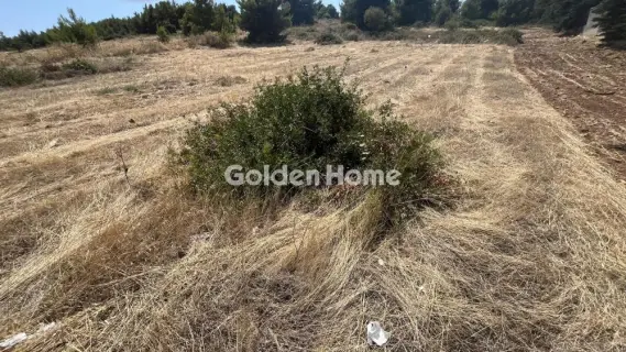 Οικιστικό 2700τ.μ. προς πώληση φωτογραφία 5602674