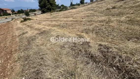 Οικιστικό 2700τ.μ. προς πώληση φωτογραφία 5602676