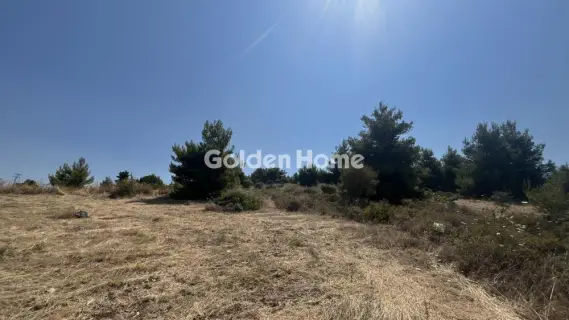 Οικιστικό 2700τ.μ. προς πώληση φωτογραφία 5602678