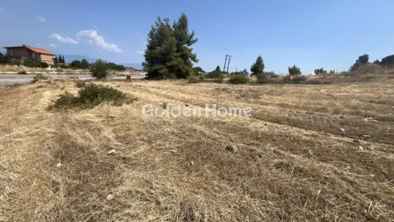 Οικιστικό 2700τ.μ. προς πώληση φωτογραφία 5602679