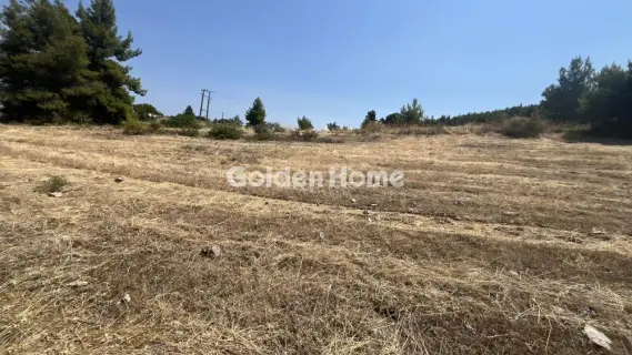Οικιστικό 2700τ.μ. προς πώληση φωτογραφία 5602680
