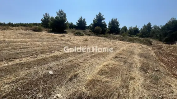 Οικιστικό 2700τ.μ. προς πώληση φωτογραφία 5602682