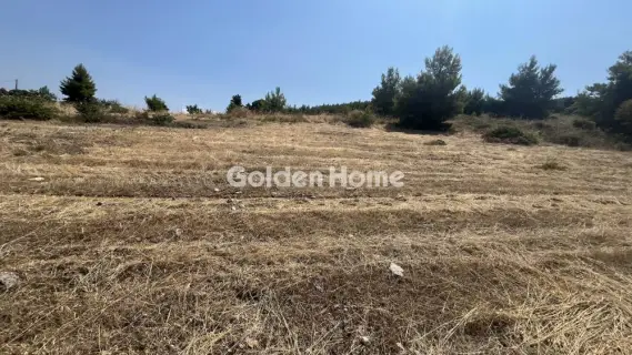 Οικιστικό 2700τ.μ. προς πώληση φωτογραφία 5602683