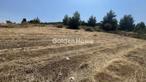 Οικιστικό 2700τ.μ. προς πώληση φωτογραφία 5602684