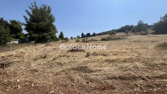 Οικιστικό 2700τ.μ. προς πώληση φωτογραφία 5602685