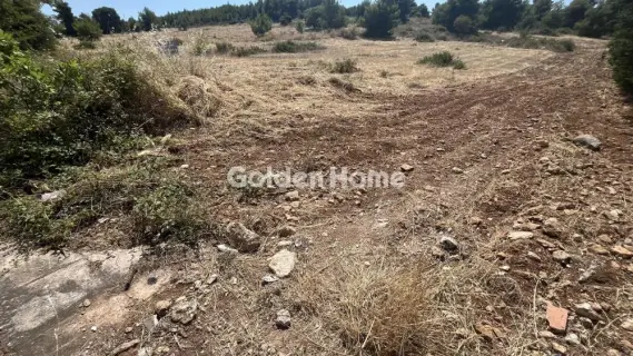 Οικιστικό 2700τ.μ. προς πώληση φωτογραφία 5602686