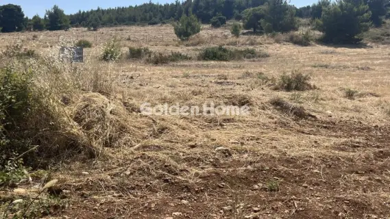 Οικιστικό 2700τ.μ. προς πώληση φωτογραφία 5602687