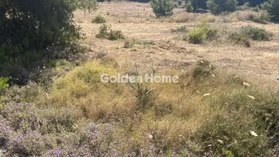 Οικιστικό 2700τ.μ. προς πώληση φωτογραφία 5602688