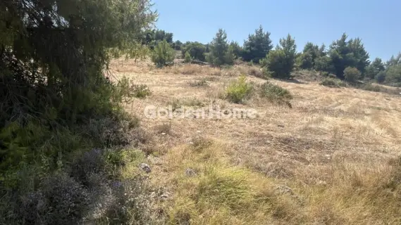 Οικιστικό 2700τ.μ. προς πώληση φωτογραφία 5602691